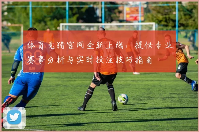 体育竞猜官网全新上线，提供专业赛事分析与实时投注技巧指南