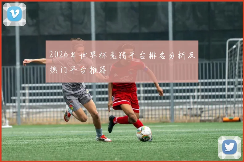 2026年世界杯竞猜平台排名分析及热门平台推荐