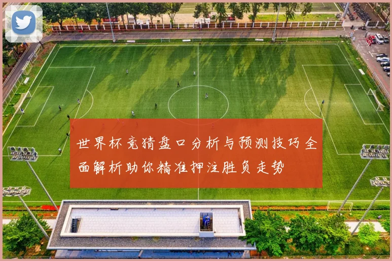 世界杯竞猜盘口分析与预测技巧全面解析助你精准押注胜负走势