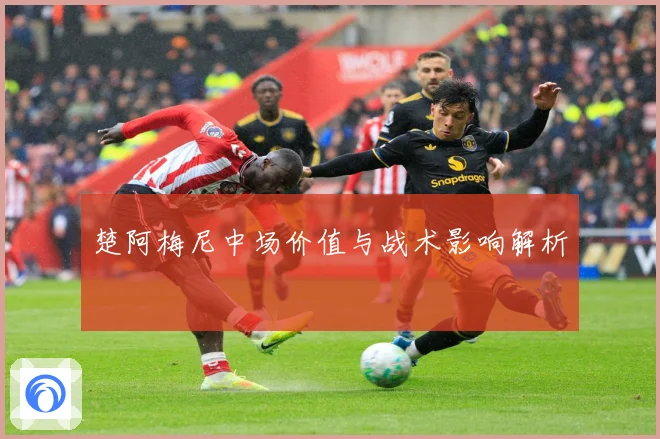 楚阿梅尼中场价值与战术影响解析