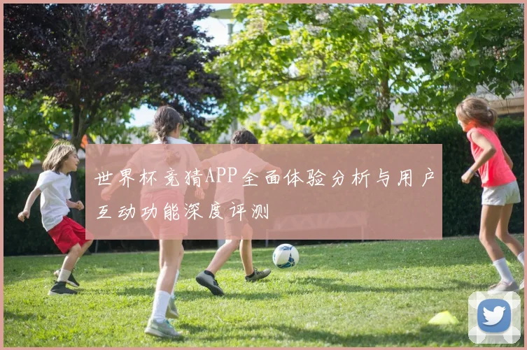 世界杯竞猜APP全面体验分析与用户互动功能深度评测